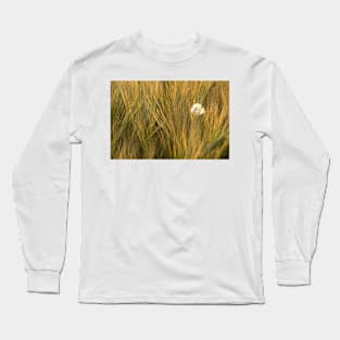 A feather amongst the summer barley in a Norfolk field, UK Long Sleeve T-Shirt